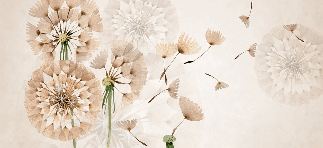 Carta da parati con fiori di tarassaco