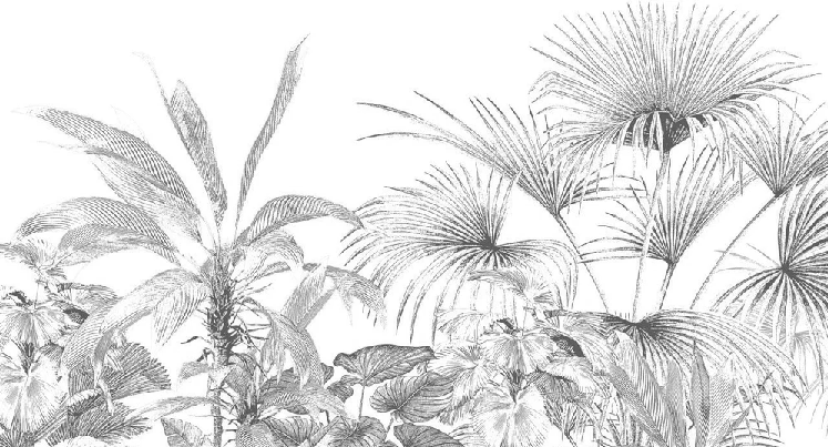 Carta da parati tropicale con incisione monocromatica