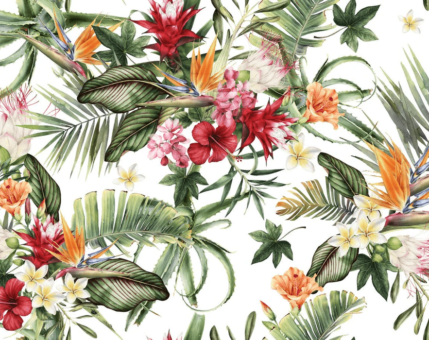 Carta da parati tropicale e fiori colorati