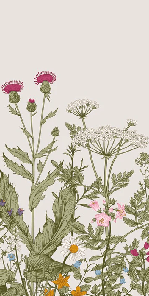 Carta da parati con motivi floreali botanici in stile folk romantico
