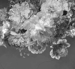 Carta da parati con fiori di peonia in bianco e nero