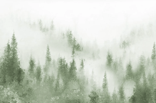 Papier peint bistrot sapin brume verte aquarelle