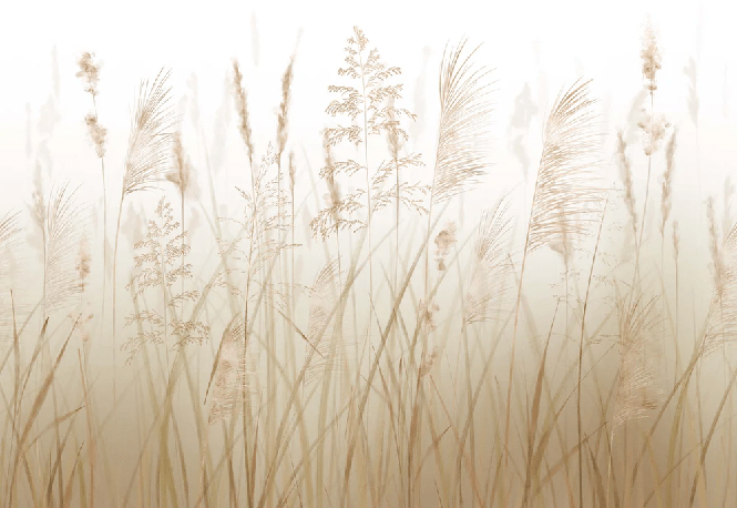 Carta da parati con fiori di campo e grano