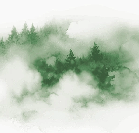 Papier peint brume des Cimes vert