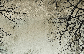 Tapete „Verzauberter Wald“