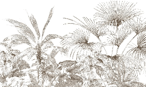 Carta da parati tropicale con incisione monocromatica