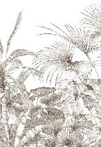 Papier peint tropical gravure monochrome