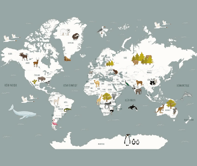 Papier peint Carte du monde en Francais enfant gris