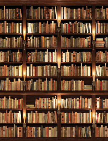 Carta da parati trompe l'oeil Autentica Biblioteca