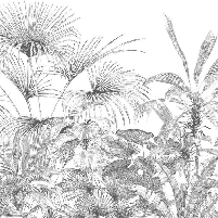 Carta da parati tropicale con incisione monocromatica