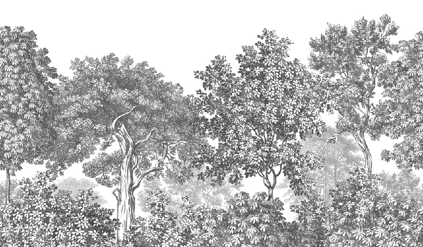 Carta da parati paesaggio foresta incisione bianco e nero