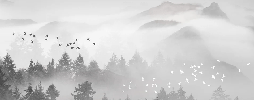 Papier peint brume mystique mountain