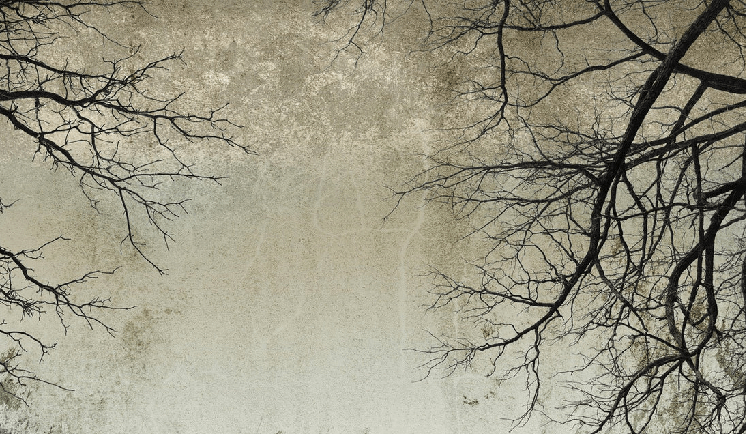 Tapete „Verzauberter Wald“