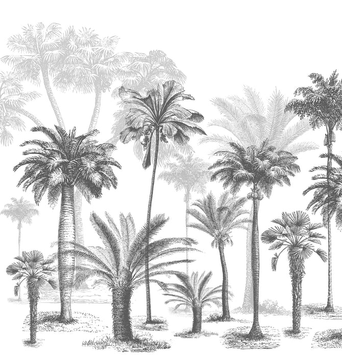 Papier peint Jungle Black & White