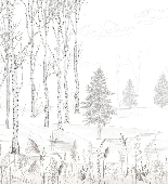 Schwarz-weiße Waldtapete – Douceur des Bois