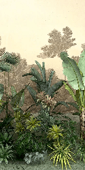 Tapete für das Badezimmer Jungle Trend Indonesien
