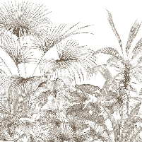 Carta da parati tropicale con incisione monocromatica