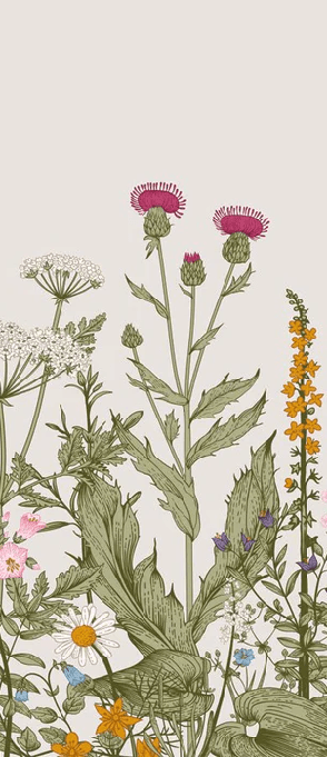 Carta da parati con motivi floreali botanici in stile folk romantico