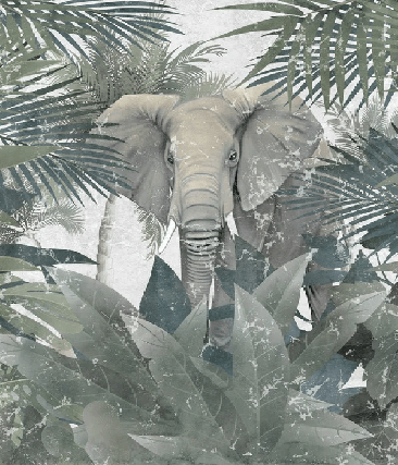 Carta da parati Elefante dell'Amazzonia