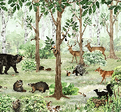 Tapete „Babyzartheit des Waldes“