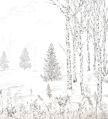 Schwarz-weiße Waldtapete – Douceur des Bois