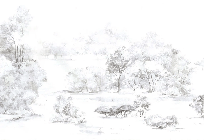 Papier peint forêt de pin aquarelle, XXL, tendance