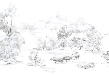 Carta da parati foresta di pini acquerello