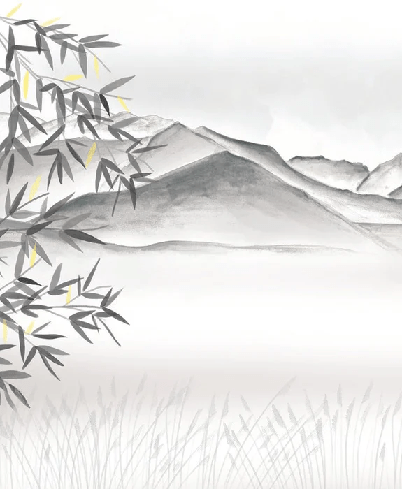 Papier peint artistique Annecy entre lac montagne GRIS