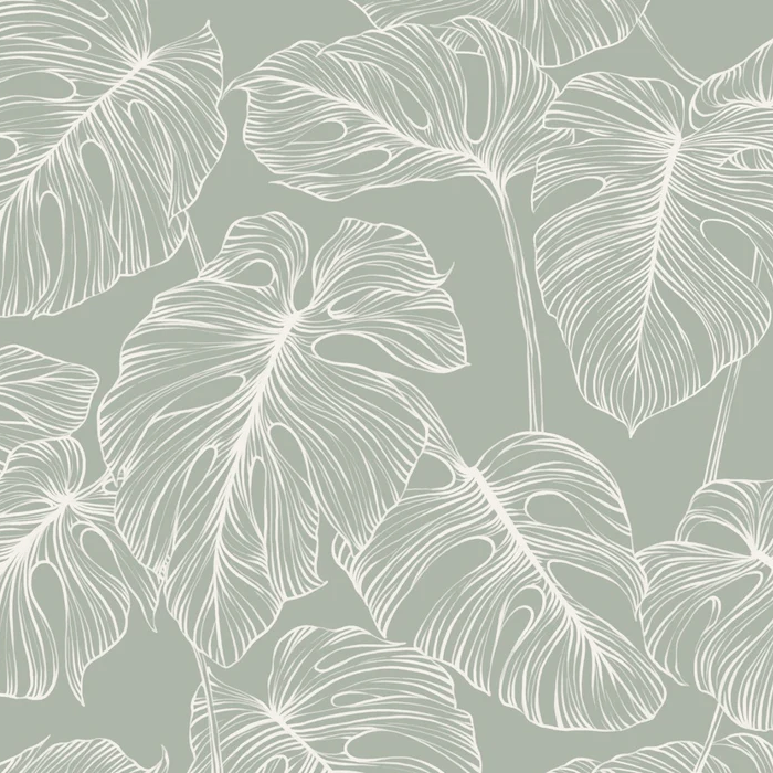 Carta da parati foglia monstera salvia