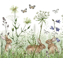 Papier peint chambre bébé lapins