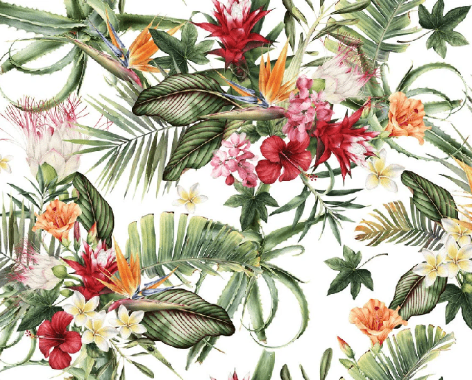 Carta da parati tropicale e fiori colorati