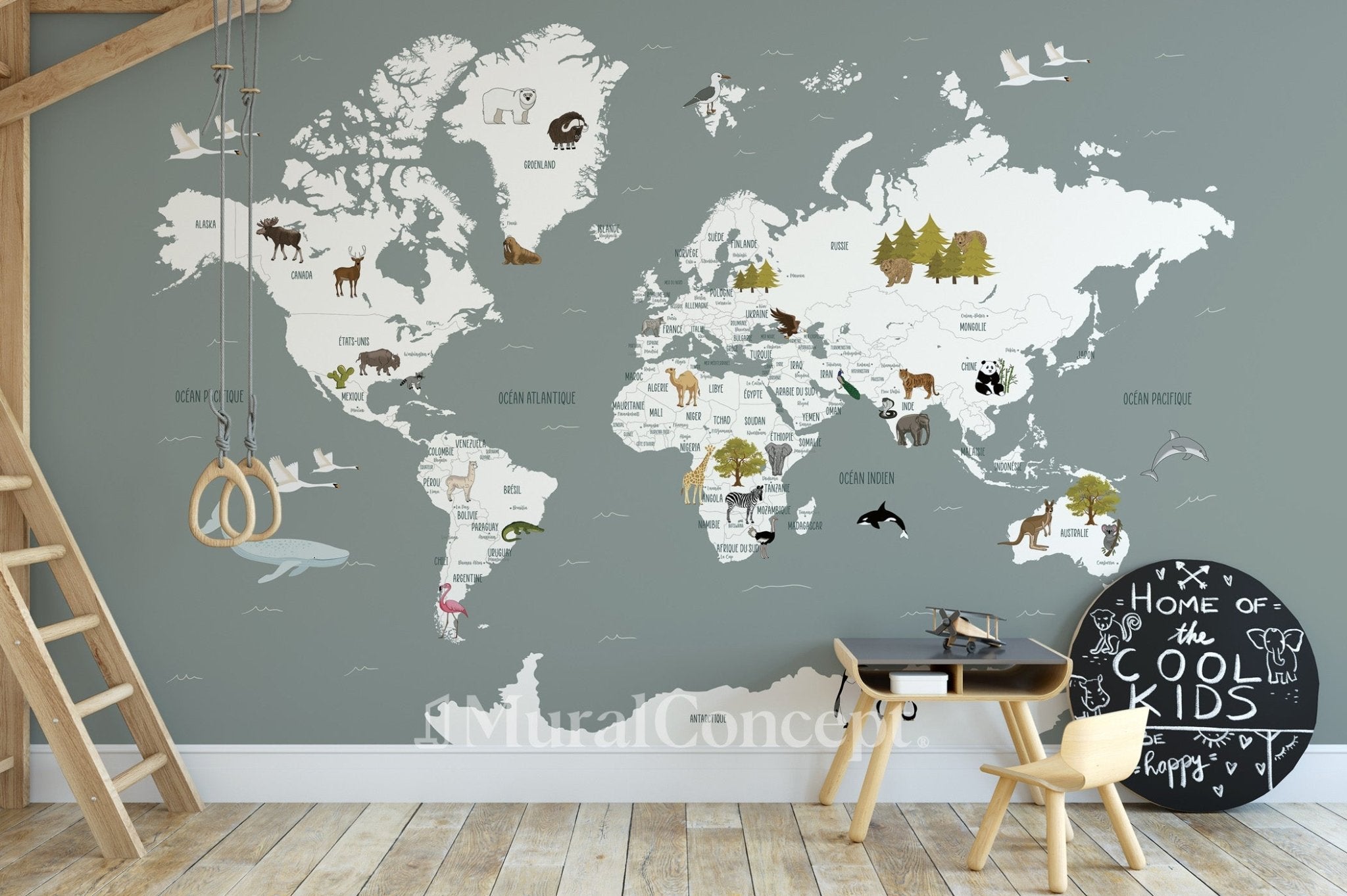 Papier peint Carte du monde en Francais enfant gris, mural concept, tendance
