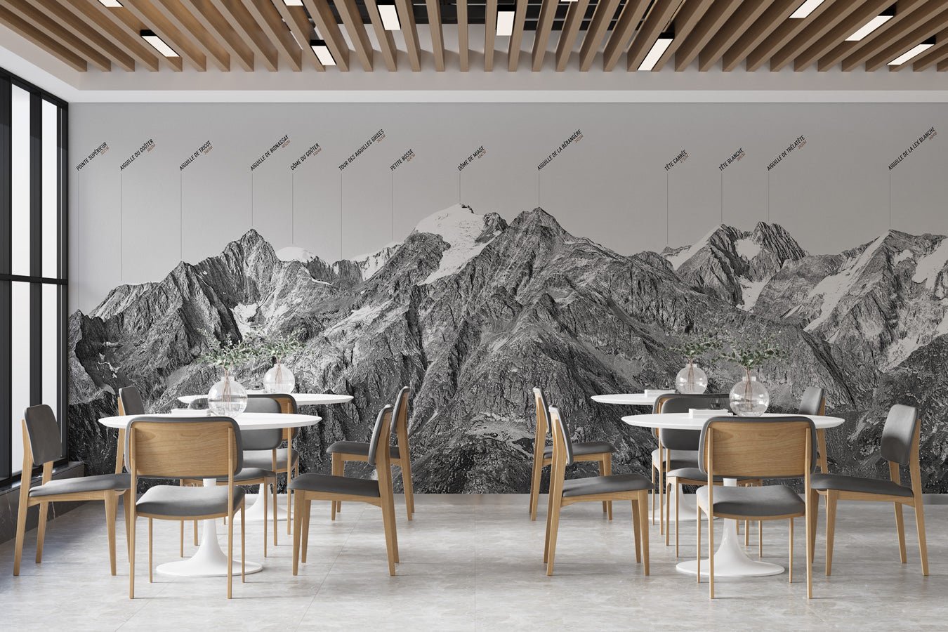 Papier peint montagne dôme Alpin - papier peint sur mesure francais - muralconcept