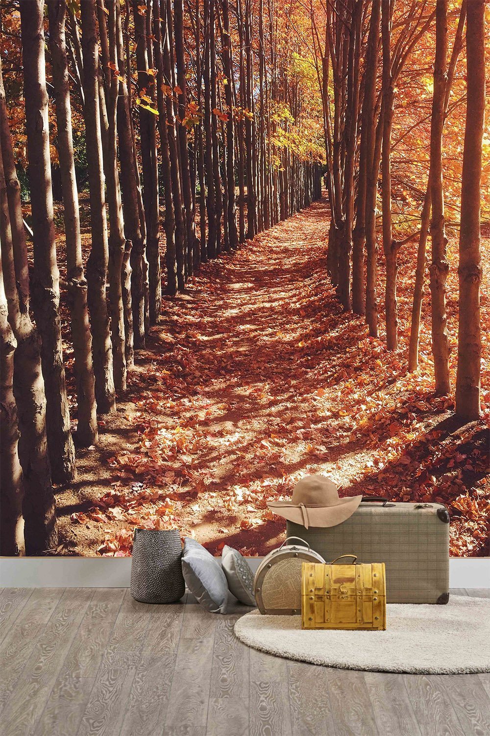 Papier peint panoramique chemin d'automne - papier peint sur mesure francais - muralconcept