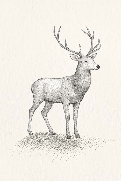 Papier peint mignon animaux