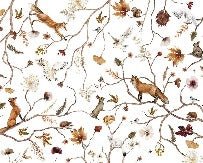 Sfondo dell'avventura nella foresta per bambini
