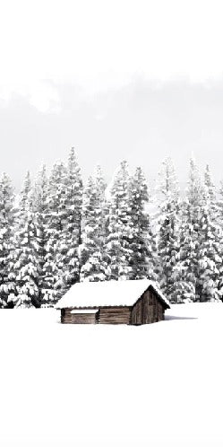Papier peint panoramique chalet en montagne, XXL, tendance