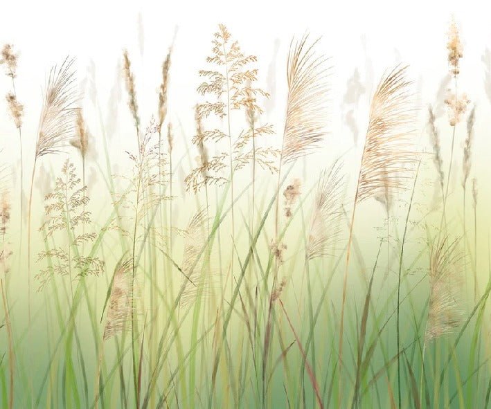 Papier peint fleur des champs de blé dégradé, XXL, tendance