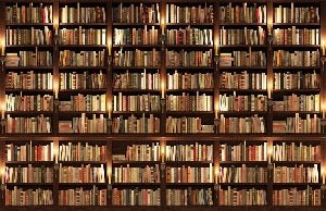 Trompe l'oeil Tapete Authentische Bibliothek