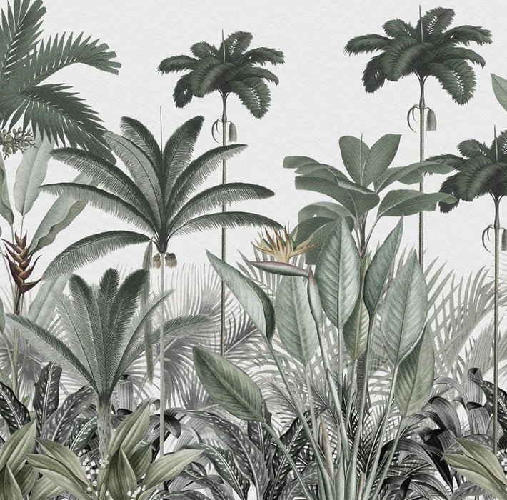 Papier peint panoramique jungle tree, XXL, tendance