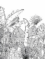 Schwarz-weiße Panorama-Tapete botanic leaf