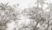 Picturesque jungle panoramic wallpaper