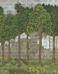Papier peint grands arbres illustré