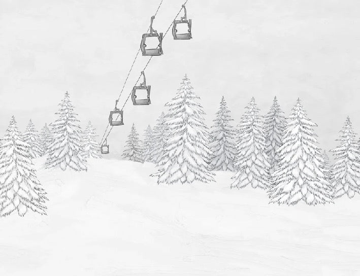 Papier peint montagne télécabine noir & blanc