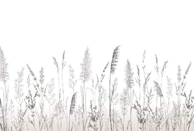 Papier peint poétique pampa, XXL, tendance