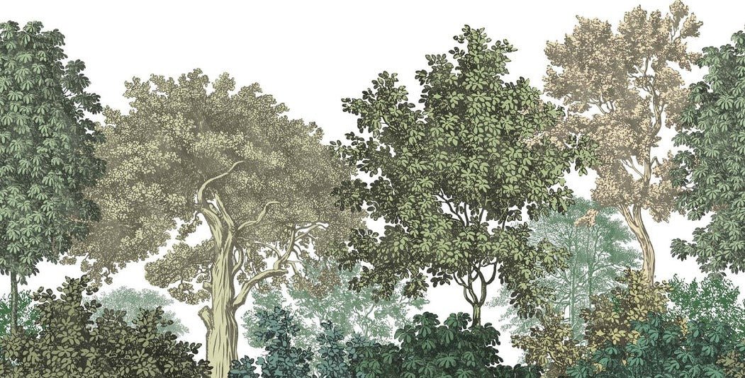 Papier peint paysage forêt gravure, XXL, tendance