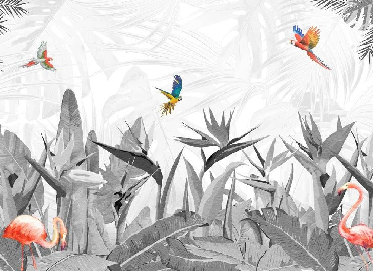 Black and white bird of paradise wallpaper