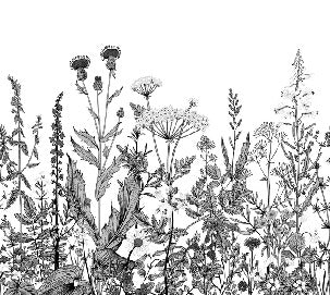 Black and white folk botanical wallpaper