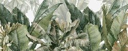 Papier peint panoramique bananier vert