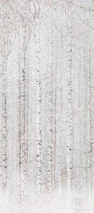 Papier peint forêt de bouleaux enveloppante, XXL, tendance